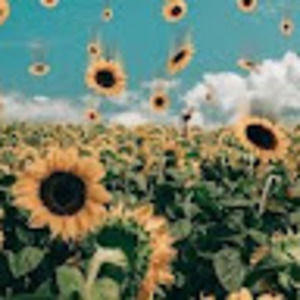 Meet your Posher, Laci